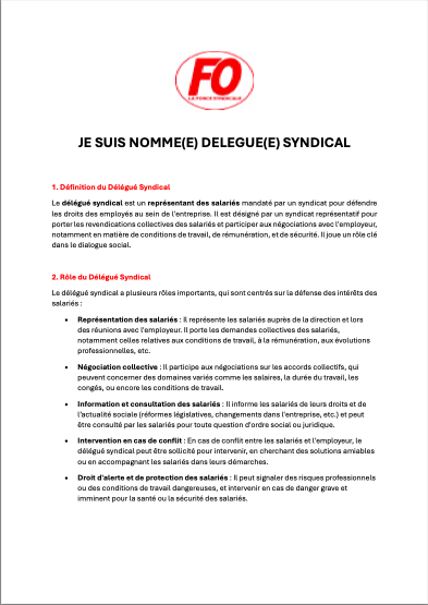 Délégué syndical
